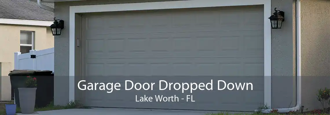 Garage Door Dropped Down Lake Worth - FL